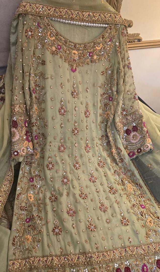 Embroidered Pistachio Mint Chiffon Pishwas Anarkali